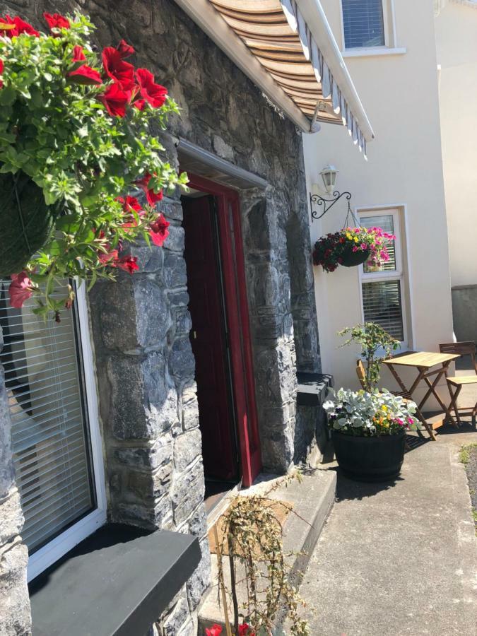 Amber Heights Bed and Breakfast Galway Exteriör bild