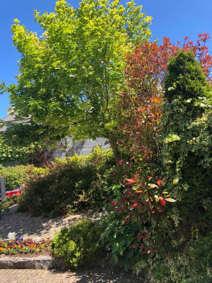 Amber Heights Bed and Breakfast Galway Exteriör bild
