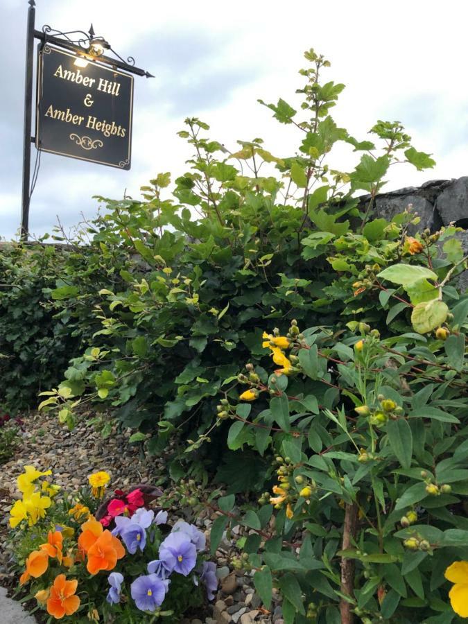Amber Heights Bed and Breakfast Galway Exteriör bild